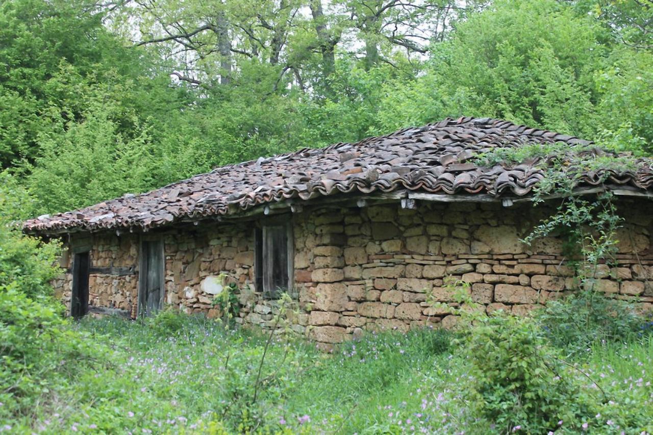 Hunting Residence Asteya Gramatikovo Extérieur photo