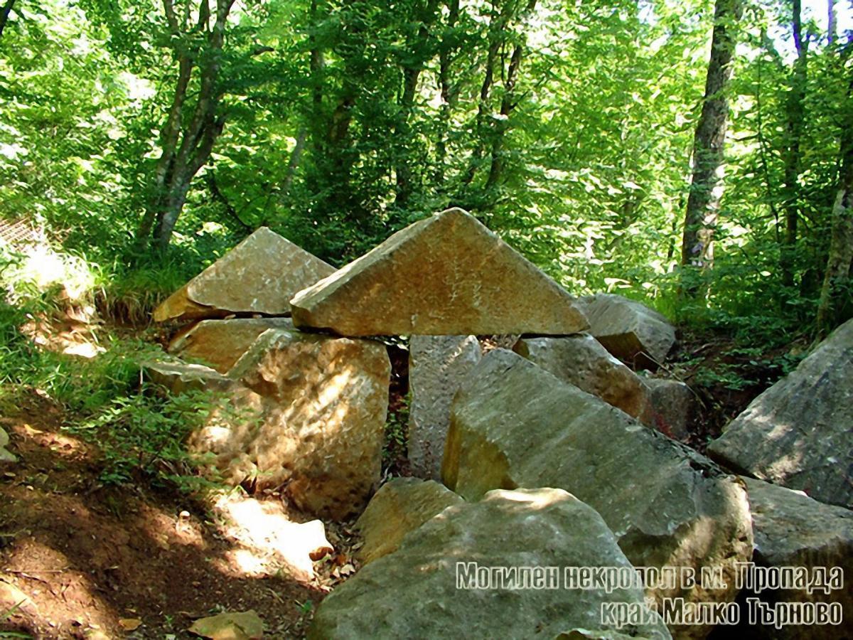 Hunting Residence Asteya Gramatikovo Extérieur photo
